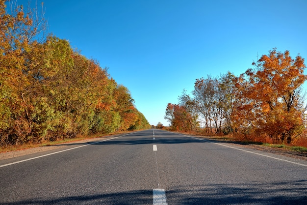 Пустая осенняя дорога, шоссе, с красивыми деревьями по бокам, на фоне ясного голубого неба, без облаков