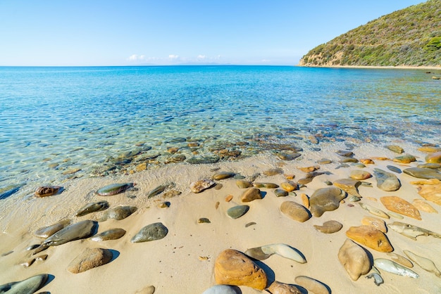 Empty beach in Maremma nature reserve Tuscany Italy Sand bay in natural park dramatic coast rocky headland and pine forest mediterranean sea blue waving water