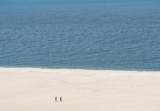 Empty beach scene on the coast at Cape May Point in New Jersey