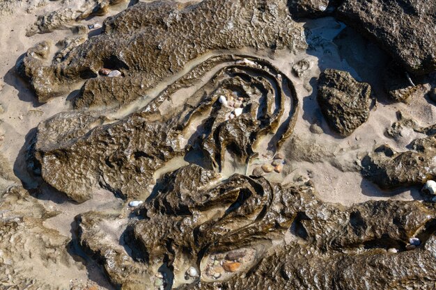 ビーチキユサンホセウルグアイの海岸に奇岩が見える空のビーチ