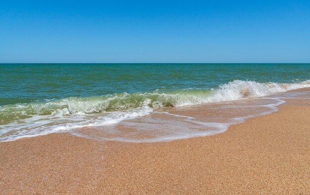 金色の砂と紺碧の水と空のビーチ