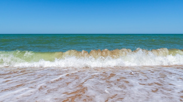 Empty beach with golden sand and azure water