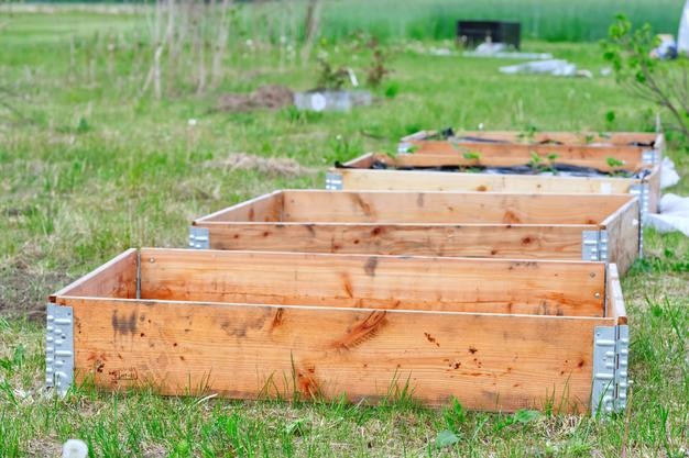 Photo empty beds of wood ready for planting berries