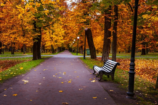 Empty bench in autumn park. Kadriorg park, Tallinn, Estonia.