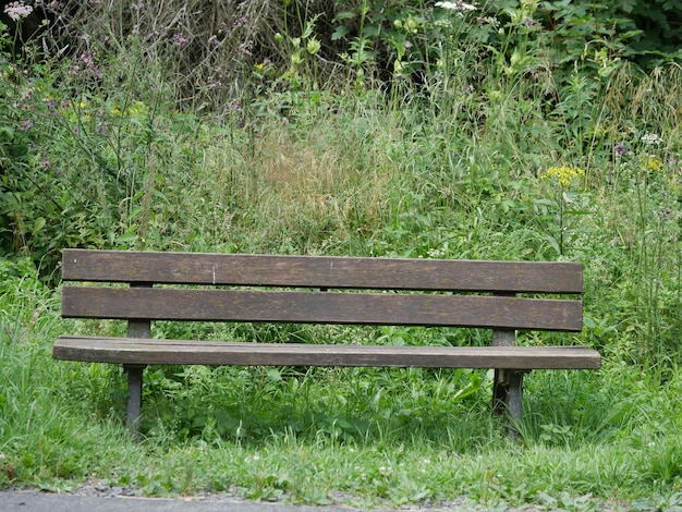 Empty bench on field