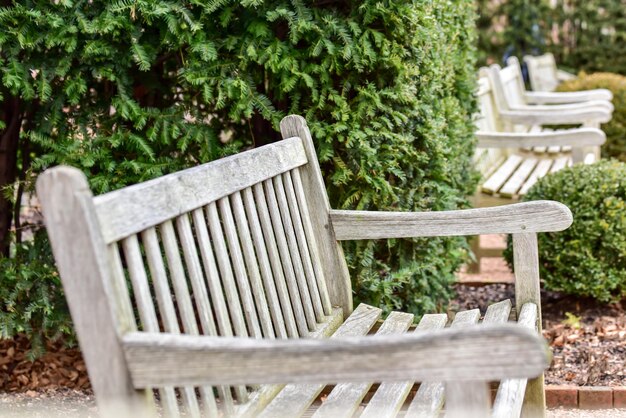 Empty bench in garden