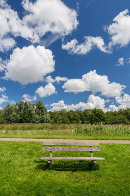 Foto panchina vuota sul campo erboso contro il cielo