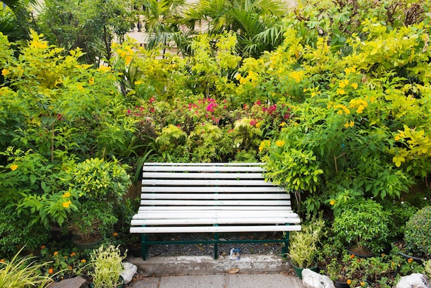 Empty bench in green tropical garden with lush foliage and palm leaves