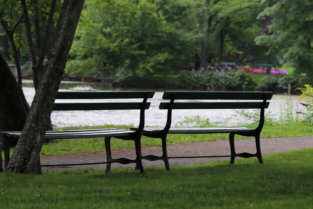 Фото Пустая скамейка в парке.