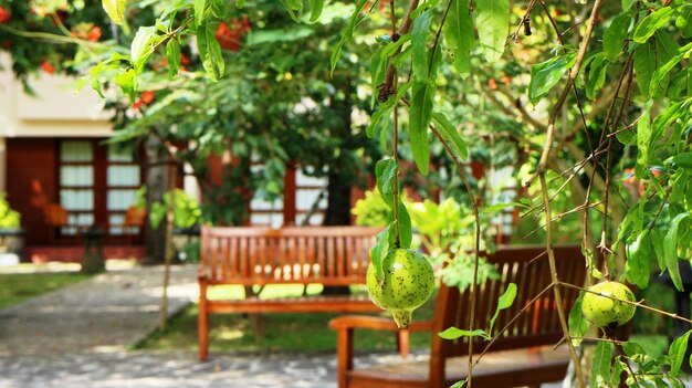 写真 公園の空のベンチ