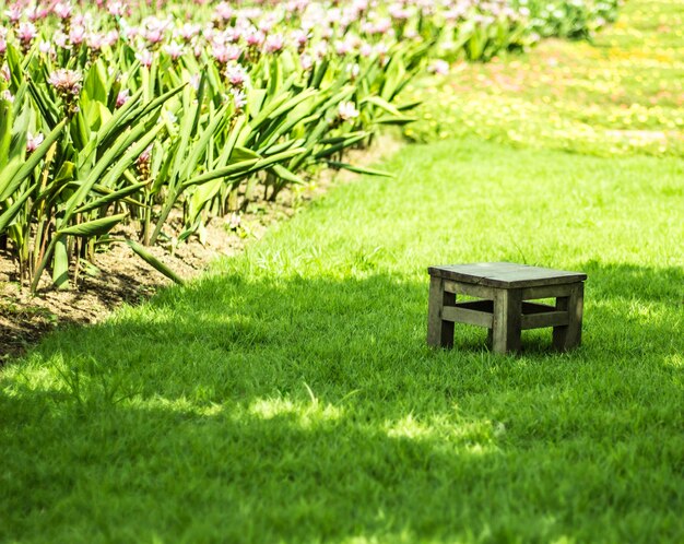 Photo empty bench in lawn