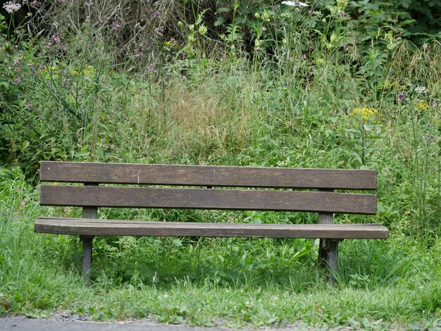 Фото Пустая скамейка на поле