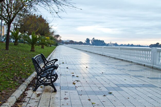 Empty bench in park against sky