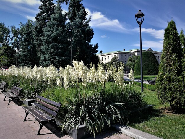 Empty bench in park by street against sky