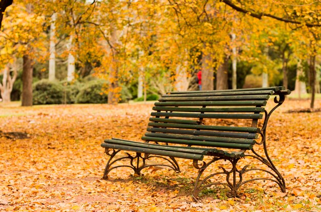 Empty bench in park during autumn