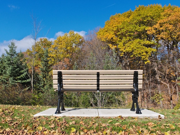 Foto panchina vuota nel parco durante l'autunno