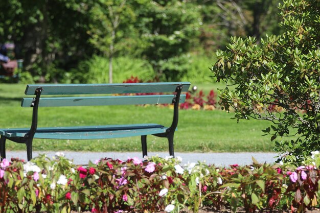 Empty bench in park