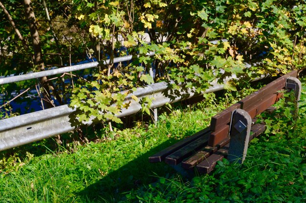 Empty bench in park