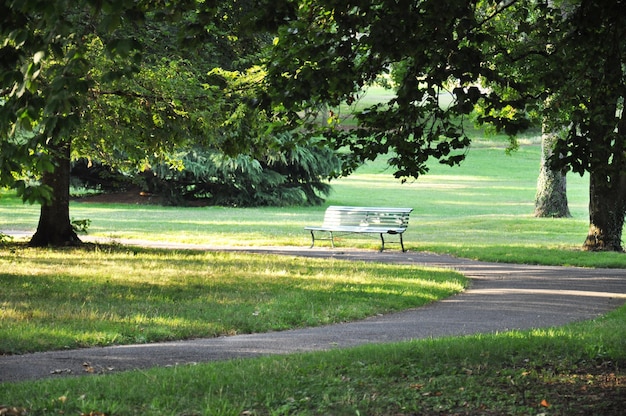 Photo empty bench in park