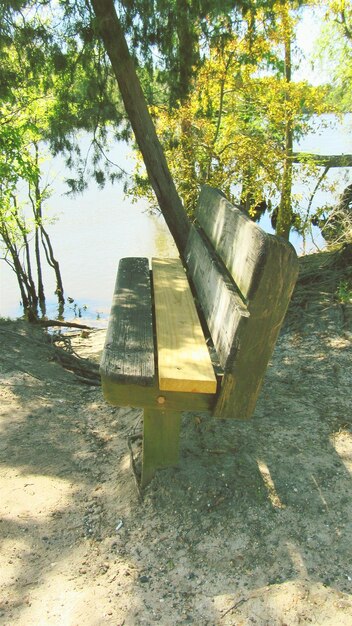 Photo empty bench in park