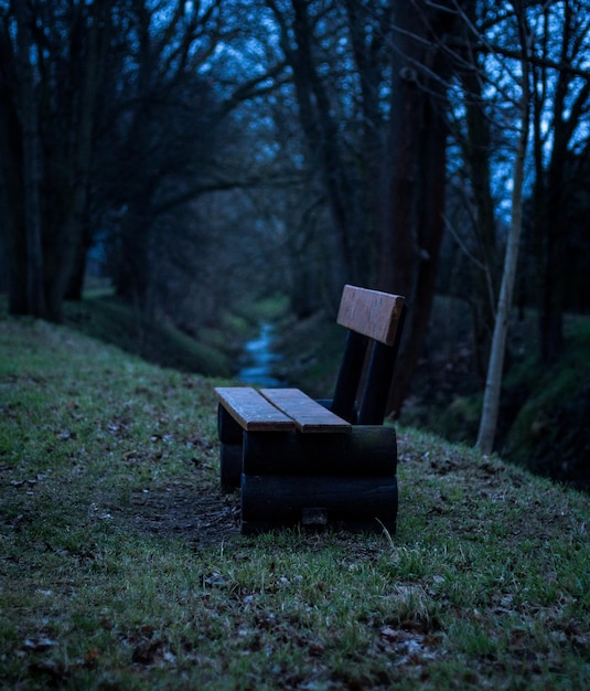 Photo empty bench in park