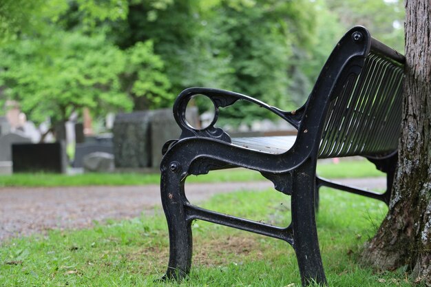 Empty bench in park