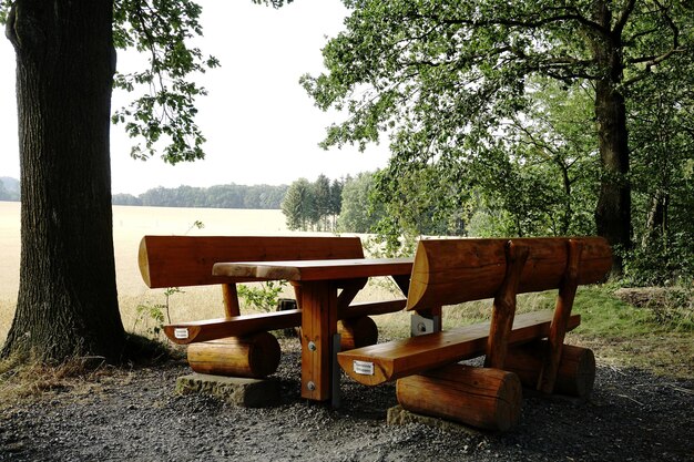 Photo empty bench in park