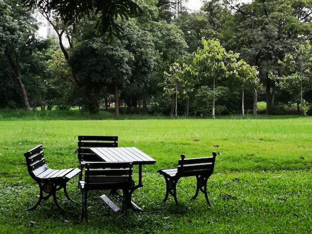 Photo empty bench in park