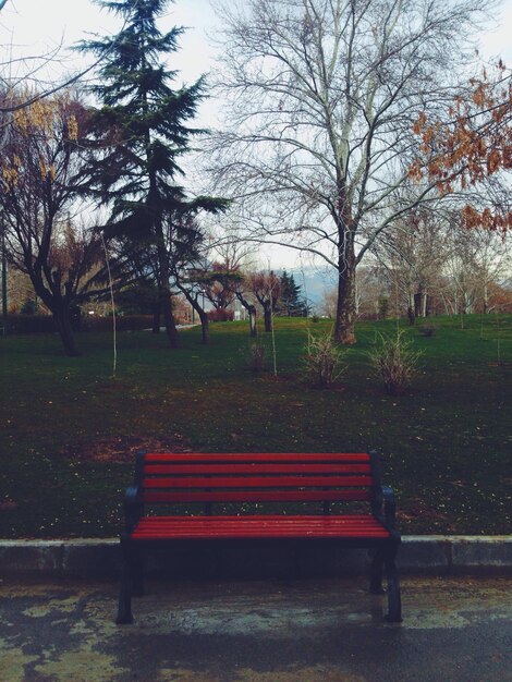 Photo empty bench in park