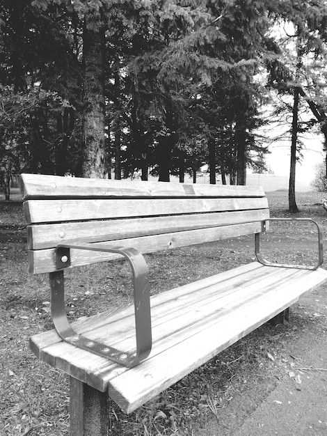 Photo empty bench in park