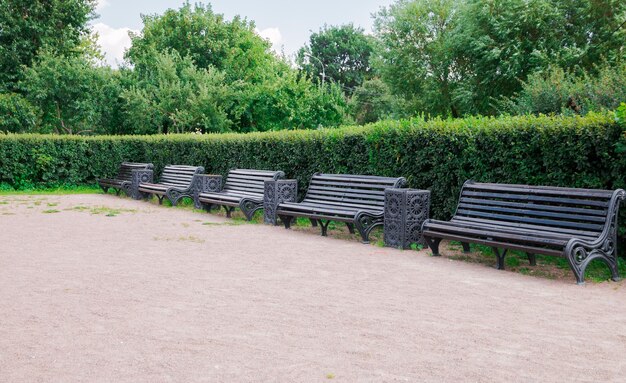 Empty bench in park