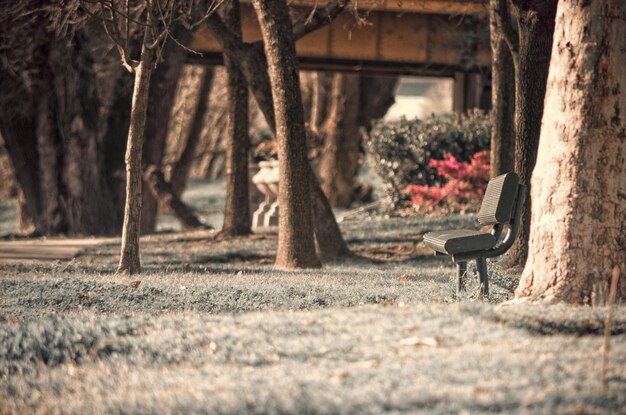 Photo empty bench in park