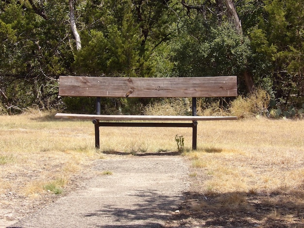 Foto panchina vuota nel parco