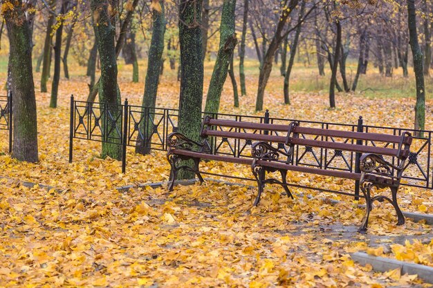 Empty bench in park