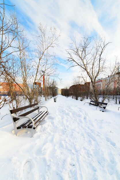 An empty bench in the snow-covered city park. Winter.