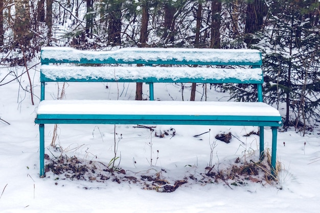 Empty bench in a snow-covered forest in winter