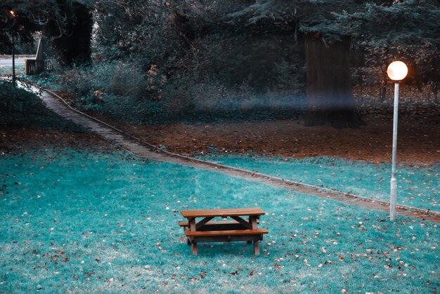 Empty bench in swimming pool