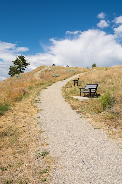 Empty benches along a mountain pathway to the top