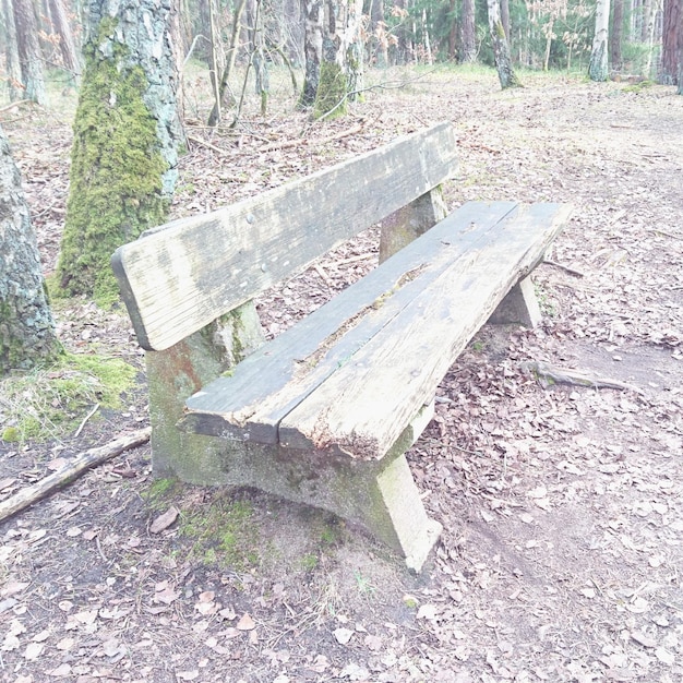 Empty benches in the dark