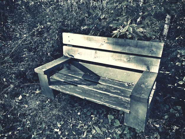 Photo empty benches in the dark