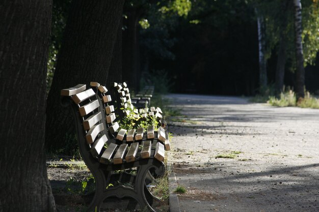 写真 公園の空のベンチ