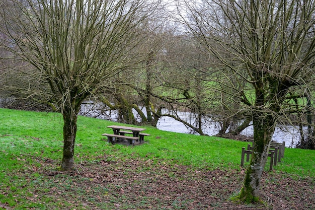 Empty benches with tables for tourists to rest on the green grass near the river A place of rest for tourists and travelers