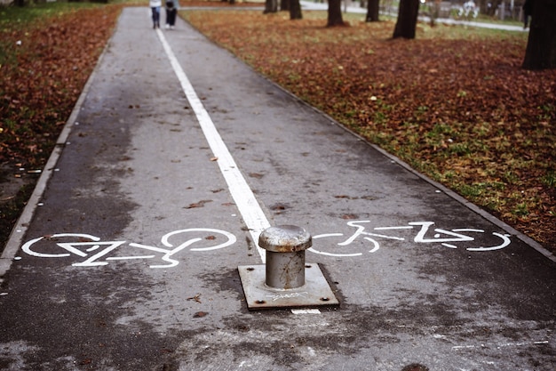 Foto pista ciclabile vuota nel parco autunnale