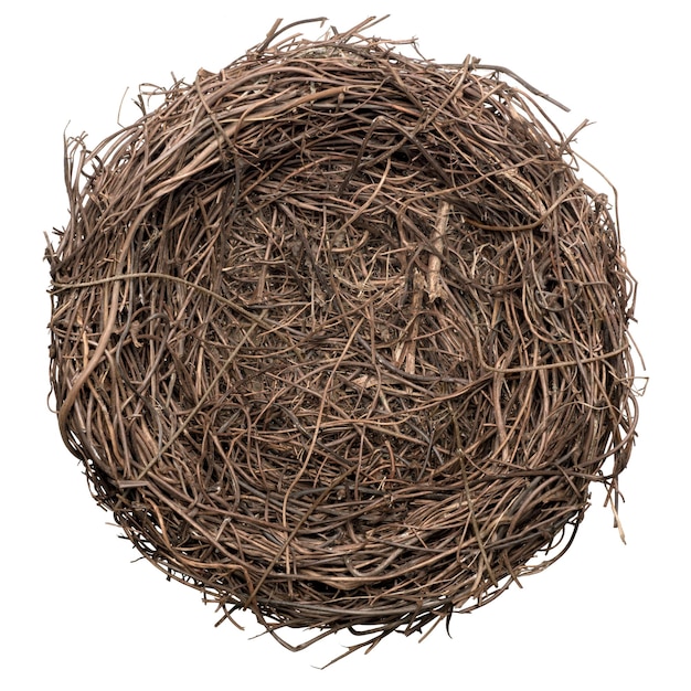 Empty bird nest