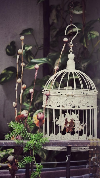 Photo empty birdcage against plant