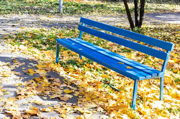 落ち葉で覆われた芝生の空の青いベンチ