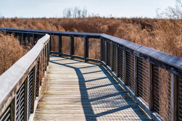 Photo empty boardwalk over swamp