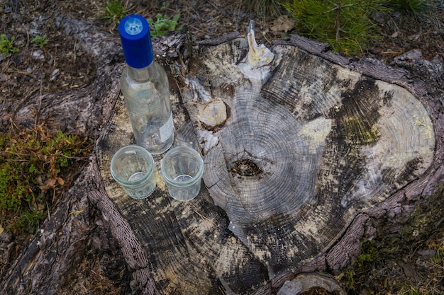 Empty bottle and two glasses in forest