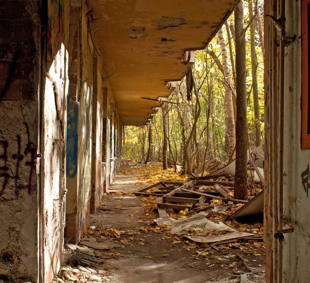 Edificio vuoto edificio abbandonato in mezzo agli alberi