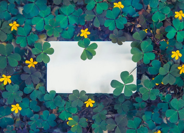 Photo empty business card mockup on clover and flowers backdrop